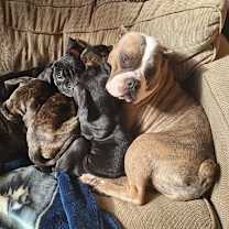 Thumbnail photo of Penny #4