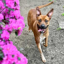 Thumbnail photo of Dally #2