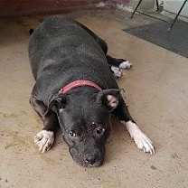 Thumbnail photo of Tinker #4