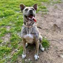 Thumbnail photo of Coconut #2