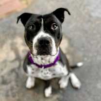 Thumbnail photo of Sandy #2