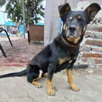 Thumbnail photo of Catalina #1