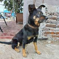 Thumbnail photo of Catalina #3