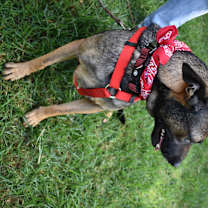 Thumbnail photo of Deya #4