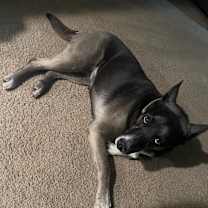 Thumbnail photo of Vivian aka Juno #3