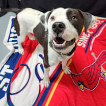 Thumbnail photo of Gage #1
