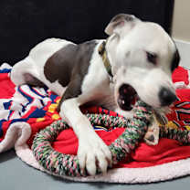 Thumbnail photo of Gage #3