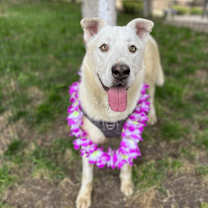 Thumbnail photo of Zach #4