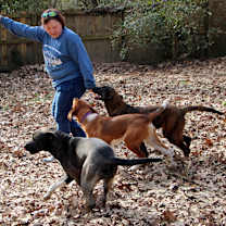 Thumbnail photo of Duke of Earl #3