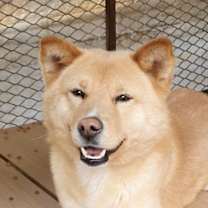 Thumbnail photo of Rao #1