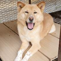 Thumbnail photo of Rao #2