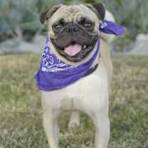 Thumbnail photo of Malloy #2
