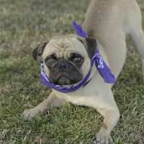 Thumbnail photo of Malloy #3
