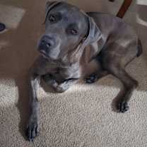 Thumbnail photo of Zeus #1
