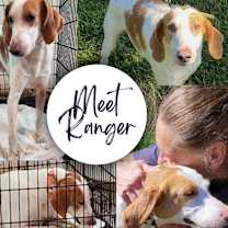 Thumbnail photo of Ranger #1