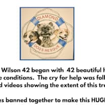 Thumbnail photo of Ranger #2