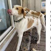 Thumbnail photo of Hunter #3