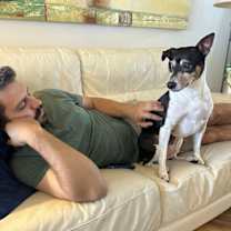 Thumbnail photo of Bilbo (FL) #3