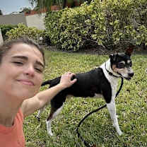 Thumbnail photo of Bilbo (FL) #4
