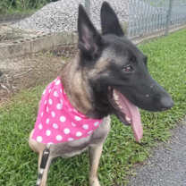 Thumbnail photo of Aria #4