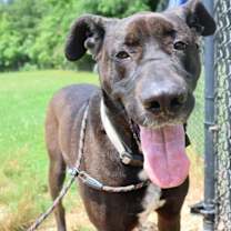 Thumbnail photo of Bogey #3
