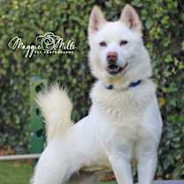 Thumbnail photo of Coco #1