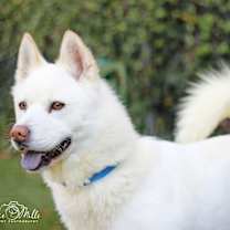 Thumbnail photo of Coco #4