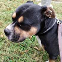 Thumbnail photo of Clara #1