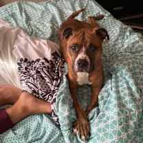 Thumbnail photo of TESS (COURTESY (POST) #1