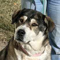 Thumbnail photo of Sami #1