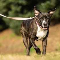 Thumbnail photo of Jada #3