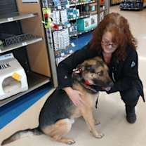 Thumbnail photo of Dex #3