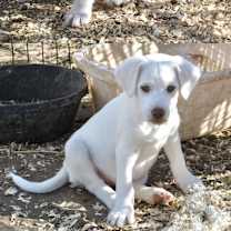 Thumbnail photo of Zena #1