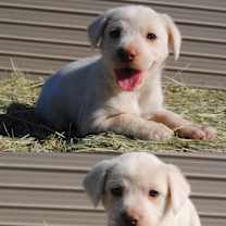 Thumbnail photo of Zena #3