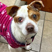 Thumbnail photo of Sushi (PA) #1