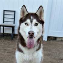 Thumbnail photo of Whiskey #2