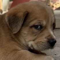 Thumbnail photo of Kendrick #2