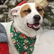 Thumbnail photo of Chip #2