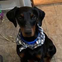Thumbnail photo of Snoop #3