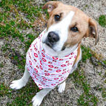 Thumbnail photo of Ivy #1