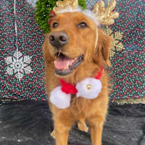 Thumbnail photo of Harper #2