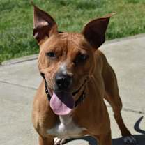 Thumbnail photo of Ellie #2