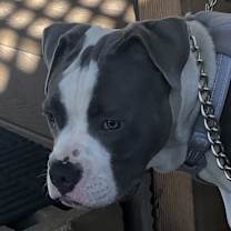 Thumbnail photo of Zoa #3