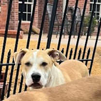 Thumbnail photo of Taz Danforth #1