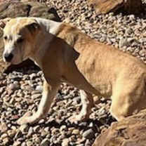 Thumbnail photo of Taz Danforth #3