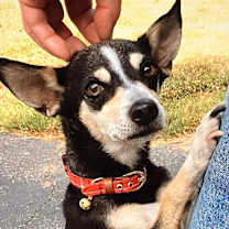 Thumbnail photo of Lula #1