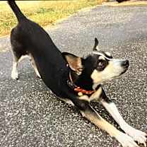 Thumbnail photo of Lula #2