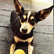 Thumbnail photo of Lula #3