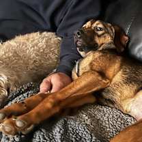 Thumbnail photo of Gigi #2