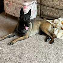 Thumbnail photo of Rey #2